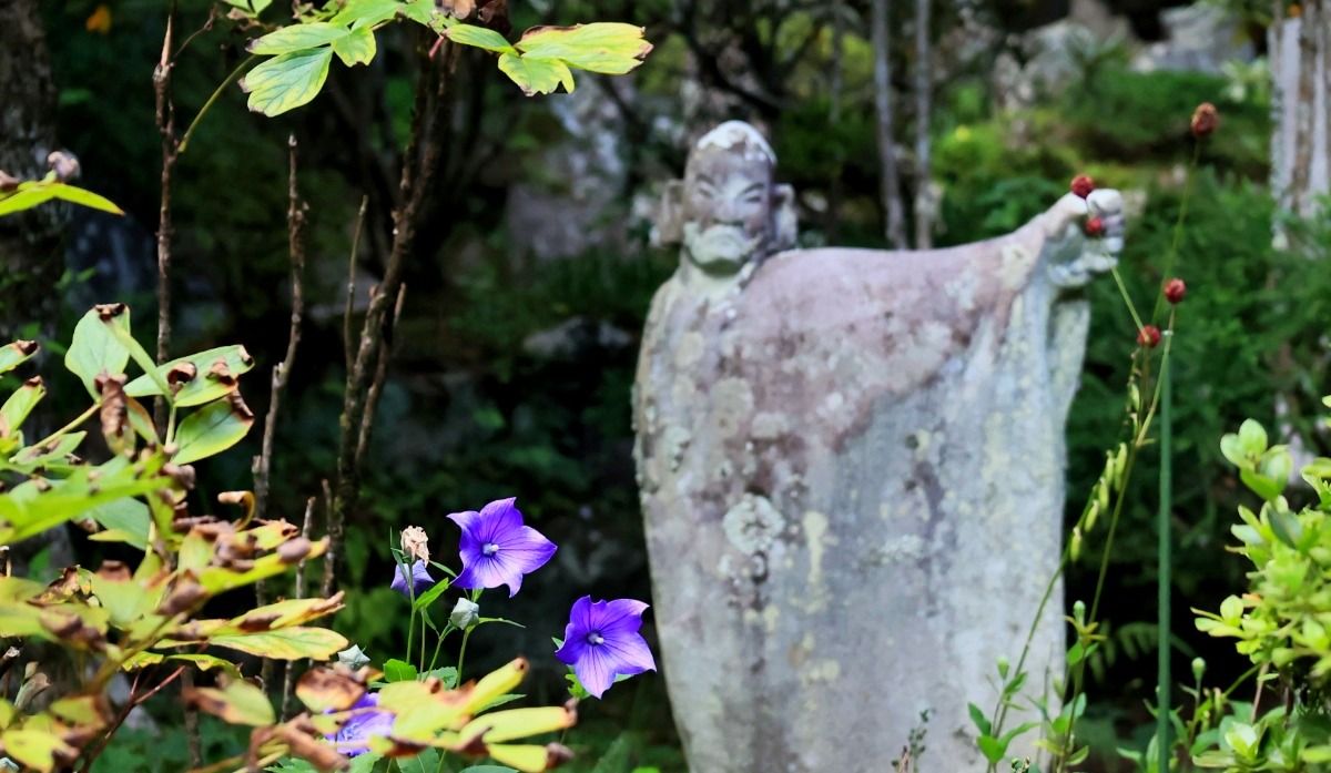 ZUISO（随想） - 想いをつづる、想いがひろがる